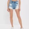 AE Strigid Denim Mom Shorts -American Eagle Online Shop 0338 7423 851 of