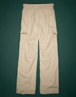 AE77 Premium Pleated Cargo Pant 6 AE77 Premium Pleated Cargo Pant -American Eagle Online Shop 7302 4961 106 f