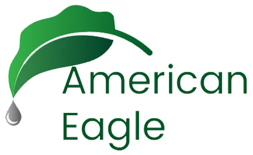 American Eagle Online Shop